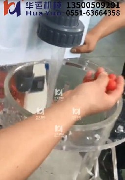 軟管泵西紅柿輸送