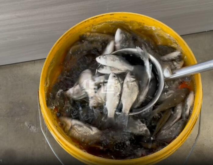 用于魚類輸送